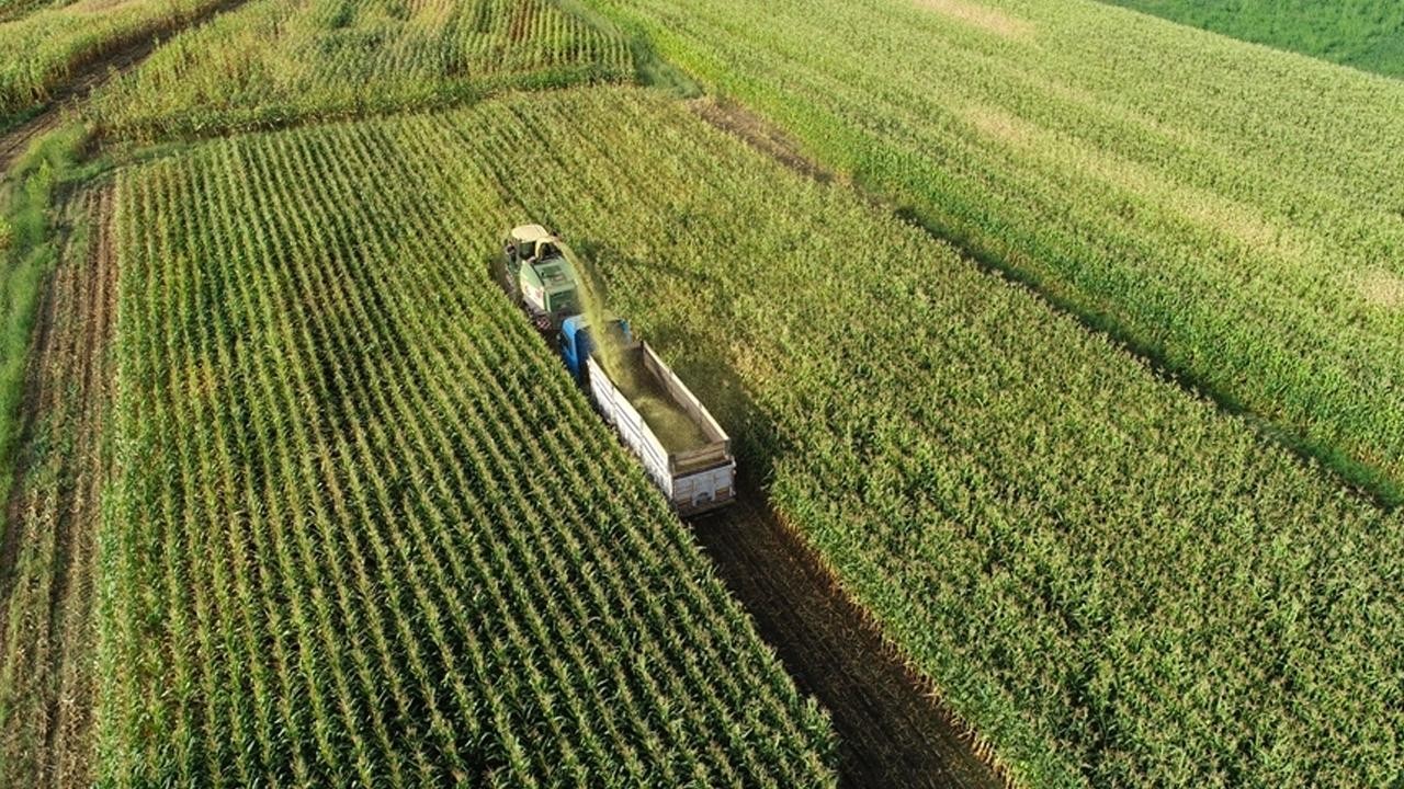 Tarımsal girdi fiyat endeksi martta arttı
