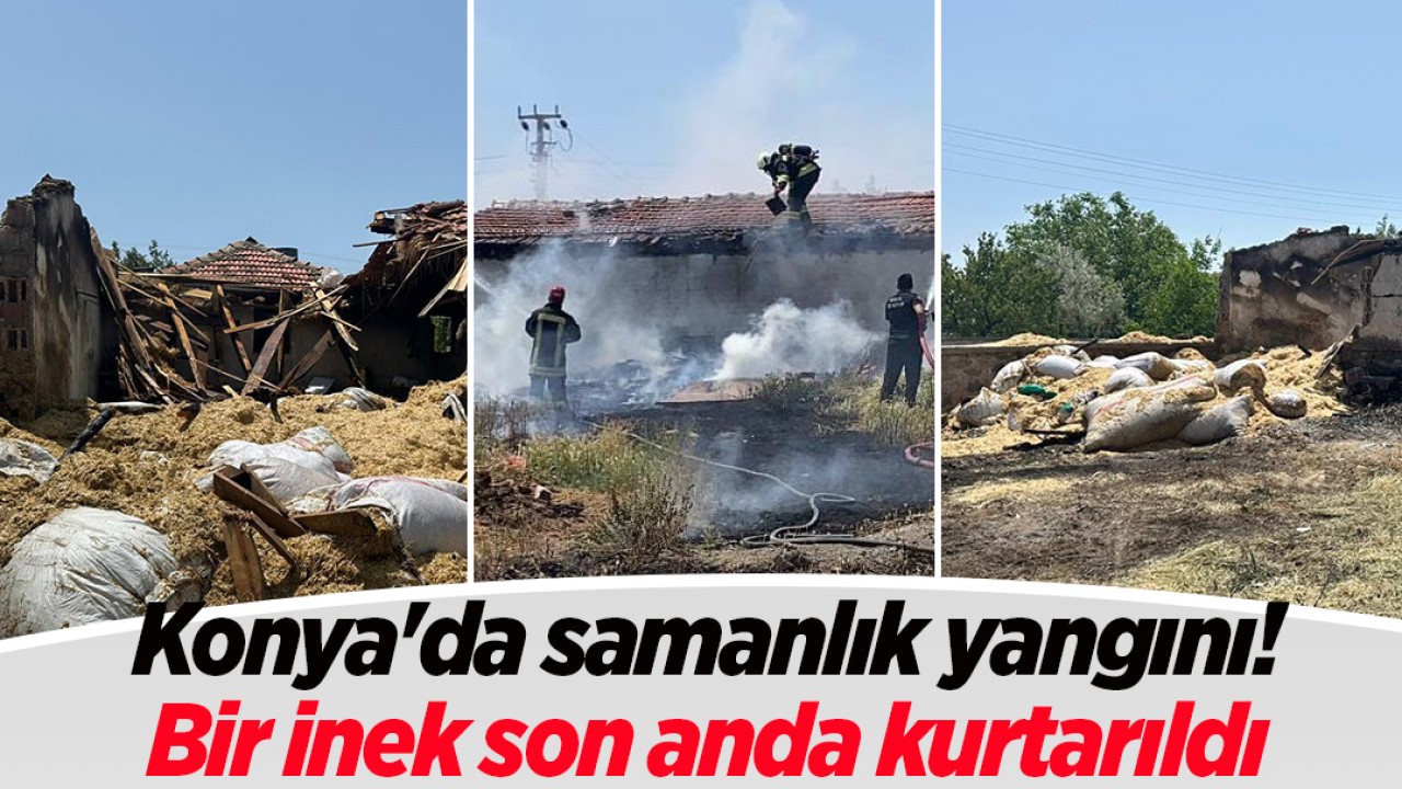 Konya’da samanlık yangını: Bir inek son anda kurtarıldı
