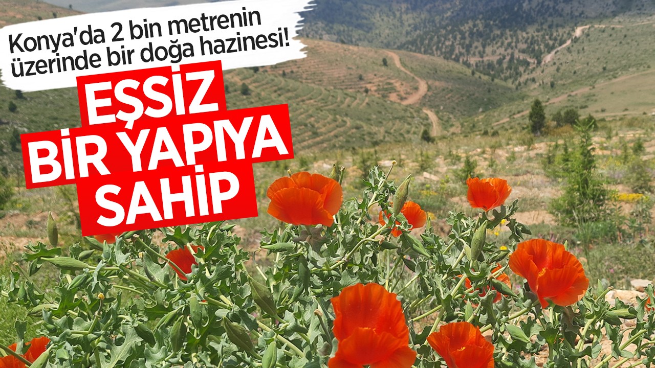 Konya’da 2 bin metrenin üzerinde bir doğa hazinesi! Eşsiz bir yapıya sahip
